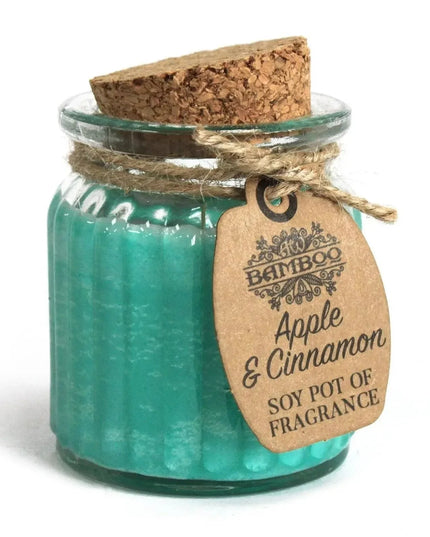 Apple & Cinnamon Soy Pot of Fragrance Candle - Bee my Gift