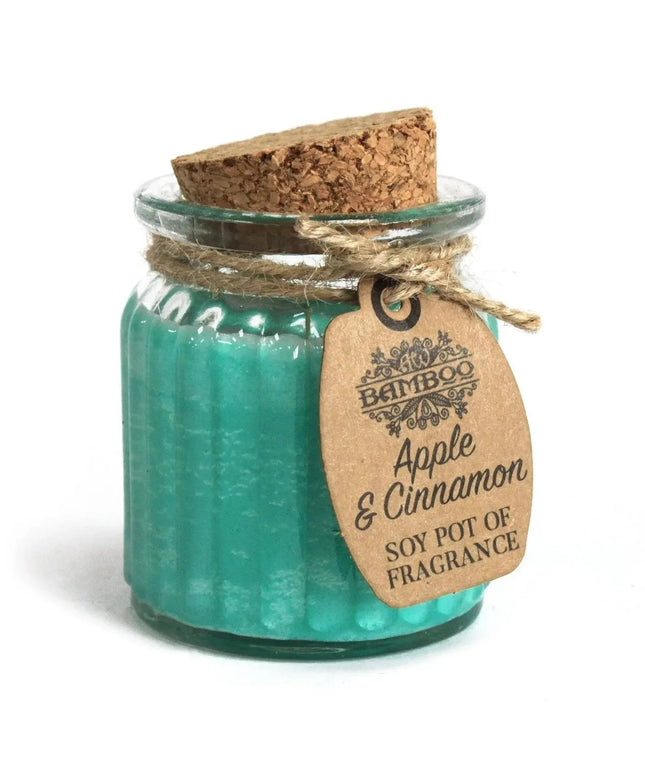 Apple & Cinnamon Soy Pot of Fragrance Candle - Bee my Gift