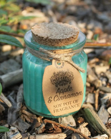Apple & Cinnamon Soy Pot of Fragrance Candle - Bee my Gift
