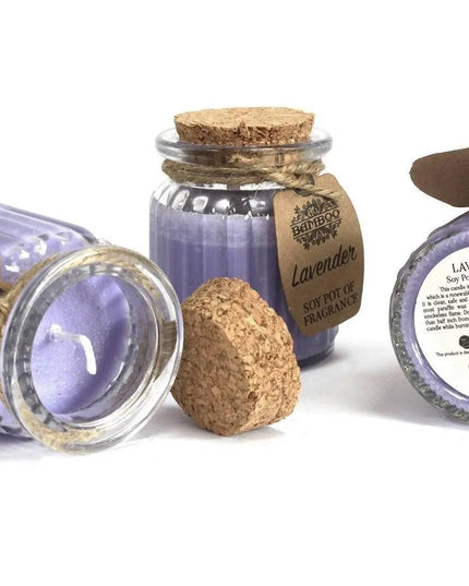 Apple & Cinnamon Soy Pot of Fragrance Candle - Bee my Gift