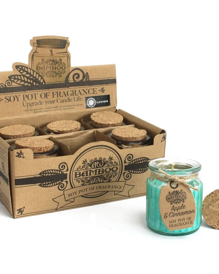 Apple & Cinnamon Soy Pot of Fragrance Candle - Bee my Gift