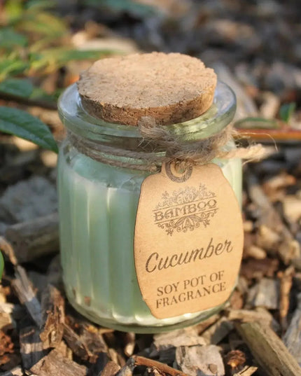 Cucumber Soy Pot of Fragrance Candles - Bee my Gift
