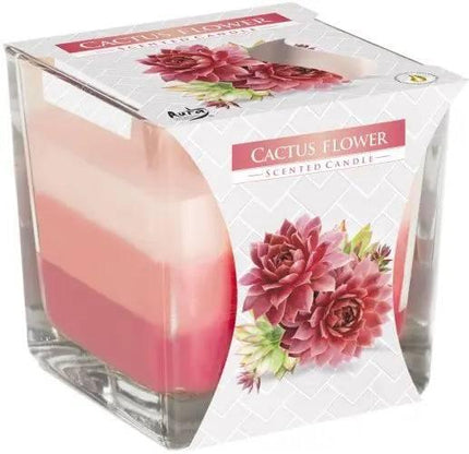 Rainbow Jar Candle - Cactus Flower Gift - Bee my Gift