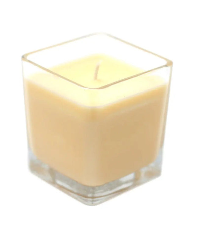 Velas de cera de Soja Personalizável - Toranja e gengibre - Bee my Gift